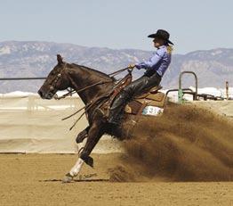 In 2009, as a cancer survivor, Jana reentered the cow horse arena showing Lil Sweet Shiner. Together, riding with Brad Barkemeyer, they won the NRCHA Southwest Regional Hackamore Championship.