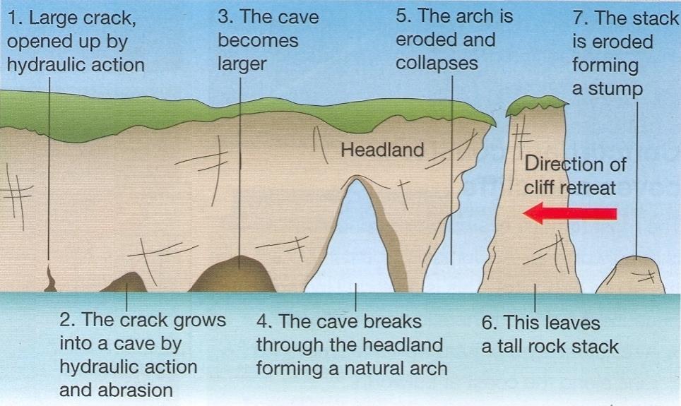 ) When the cave breaks through to the other side of the headland it becomes an arch. Eventually, the top of the arch will be undermined and collapse forming a stack.