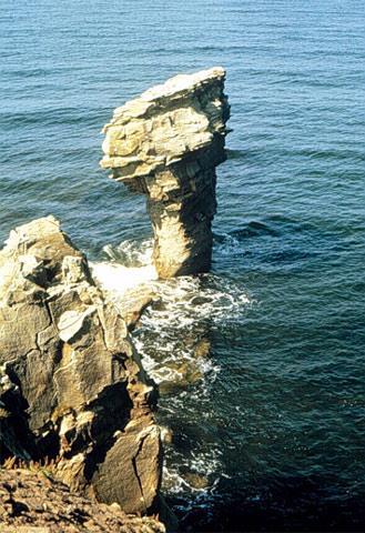 Examples of wave erosion Sea stacks are formed when sea arches are eroded through the center causing its middle to collapse.