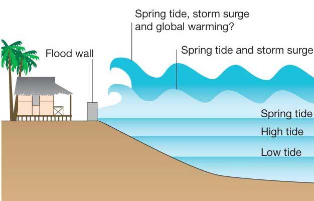 Coasts and Climate Change Global warming could causes sea levels to rise estimates from 30cm to 1m by 2100.