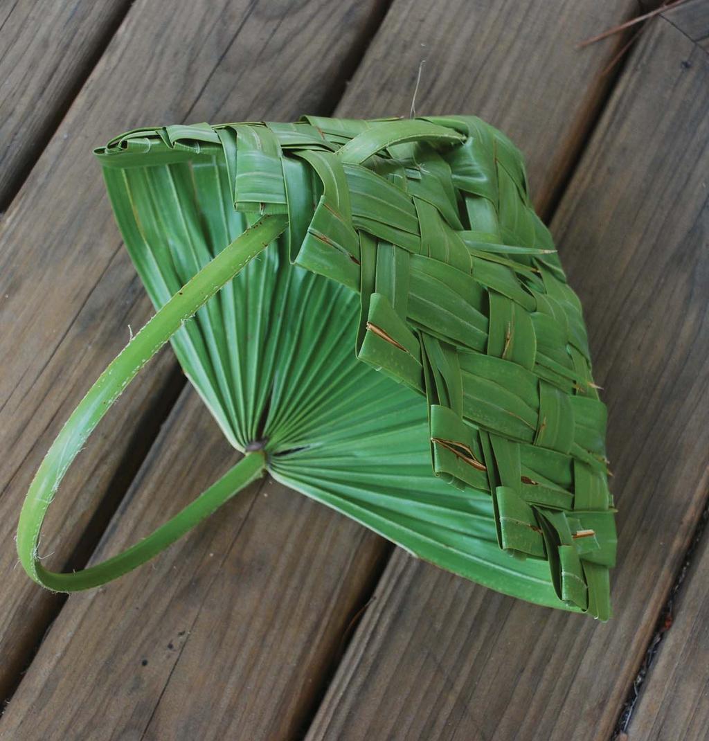 Volume 29: Number 2 > Spring 2012 Palmetto Weaving a Field