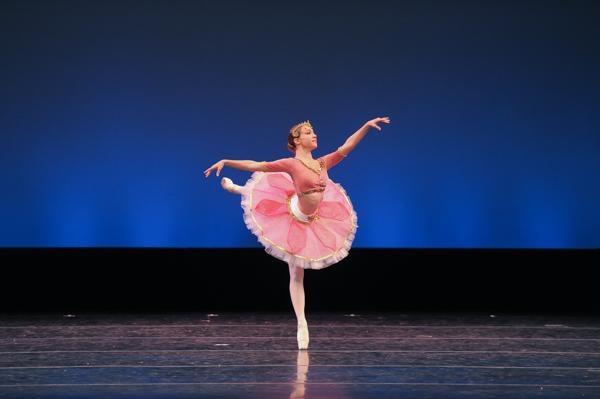 FDEO Artistic Merit, Leadership, and Academic Achievement Award The Florida Dance Education Organization is pleased to announce this year s merit award winners.