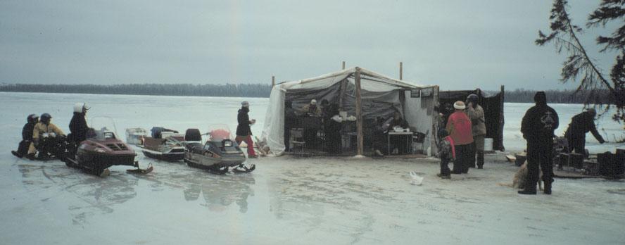 Squeers Lake Experimental Lake Trout Fishery Quetico Mille Lacs FAU Squeers Lake (384 ha) near Thunder Bay Lake Trout fishery heavy winter fishing closed to fishing in 1979 Estimated natural