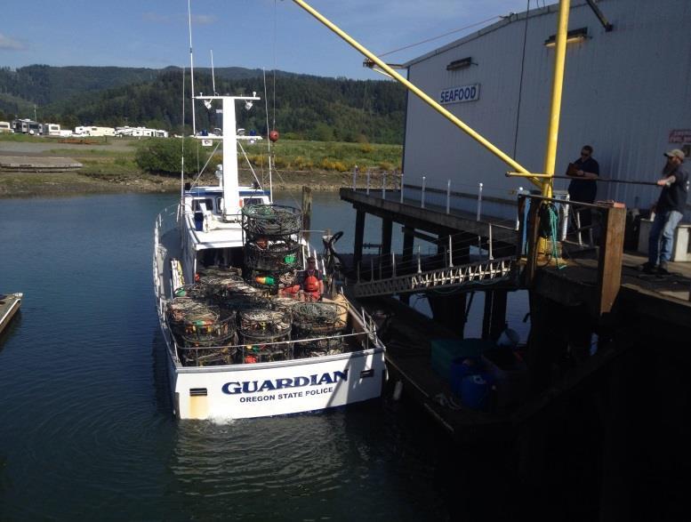 by a Garibaldi-based fishing vessel led to the recovery of over 150 illegal crab pots, some of which may be stolen.