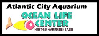 Atlantic City Aquarium 800 N. New Hampshire Avenue Atlantic City, NJ 08401 609-348-2880 www.acaquarium.