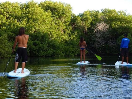 STAND UP PADDLE BOARD ECO-TOUR Takes place in a very secluded canal on the south side of the island.