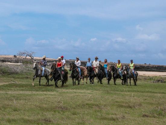 00 HORSEBACK RIDING TOUR At Rancho La Ponderosa they have the Paso Fino horses, known for their even temperament and comfortable ride. Their qualified guides are friendly and experienced.