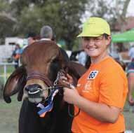 South-Africa to come together put on a Brahman show and it's great for everyone that's a starting, beginner to the most experienced showman just to come out and