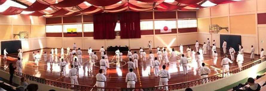 In the afternoon, (10th to 4th kyu) training is focused specifically on the execution of basic kijon, including tsukis, ukes, geris, from zenkutsu dachi, kokutsu dachi and kiba dachi, and specific