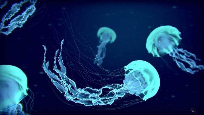 The Jellyfish Oh, the jellyfish is ninety-five percent water, ninety five percent water, that s