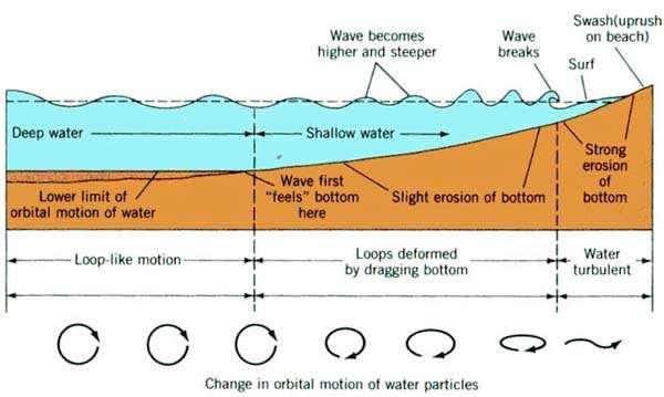 Hydrodynamics Ocean Waves Shallow water wave: Depth < 1/20 wavelength Waves are higher and steeper