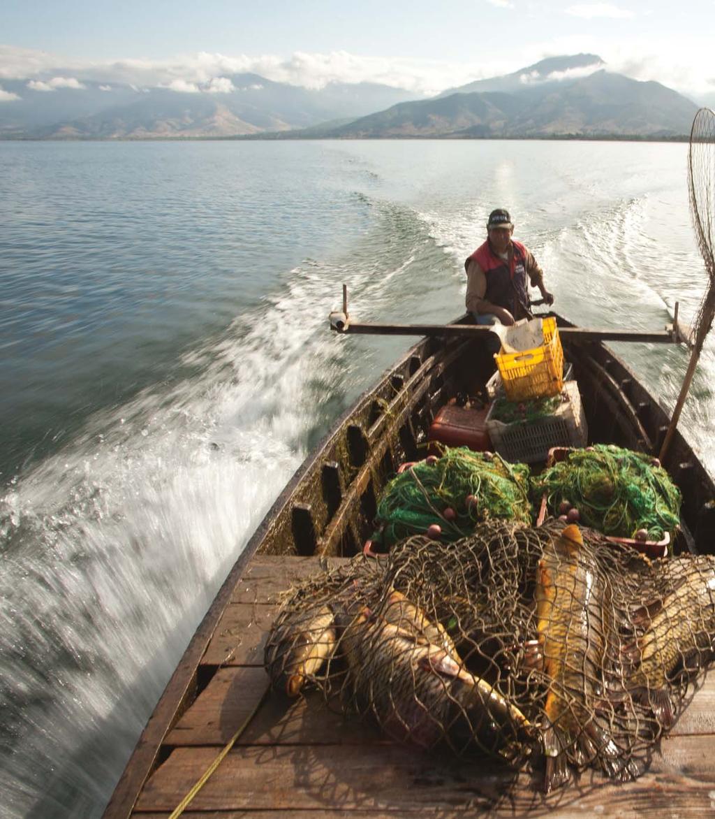 Fish, Fisheries and European Policy in the Prespa Basin Life+ Information &