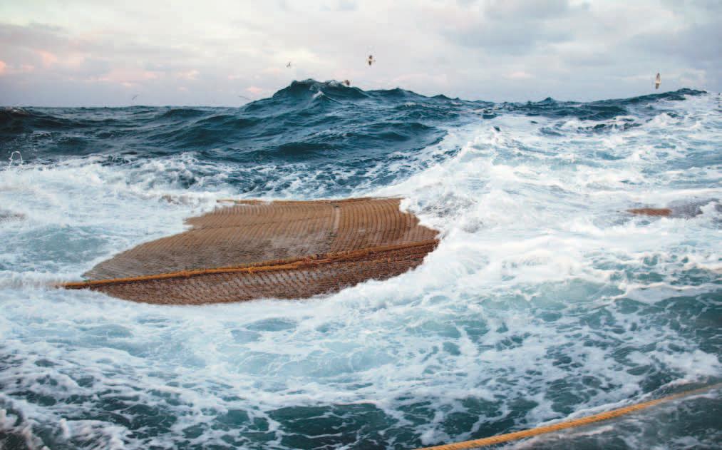 ey recommendations Turning the tide for low impact fisheries: key recommendations The contribution of low impact fisheries to meeting the objectives of environmental and social sustainability