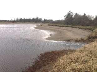 New Intertidal Wetland Culvert Invert @ 8.