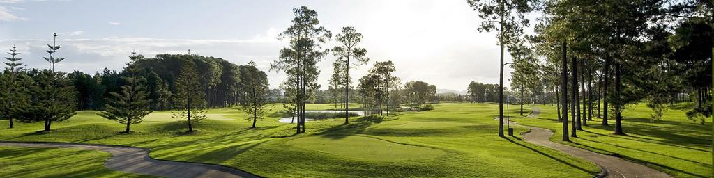 the Pines Golf Club Return