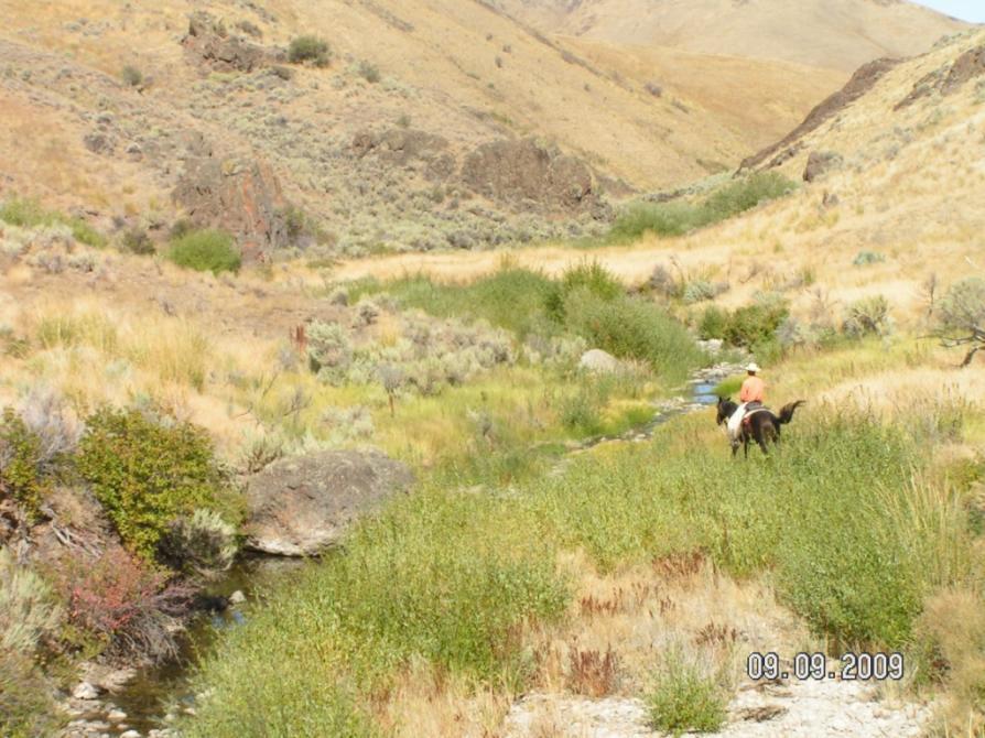 1993 BLM, Newmont Mining Corps and several and private ranches initiated the Maggie Creek Watershed Restoration Project (MCWRP) Goal: