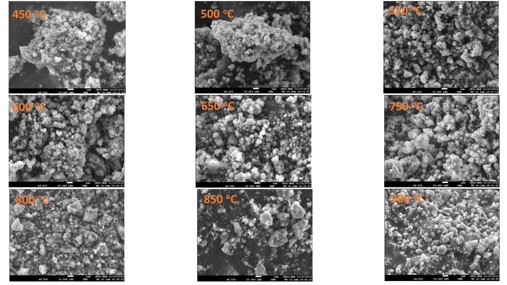 Figure S3. SEM images of ccltps obtained at specified calcination temperatures. The scale bars are the same at 1 µm.
