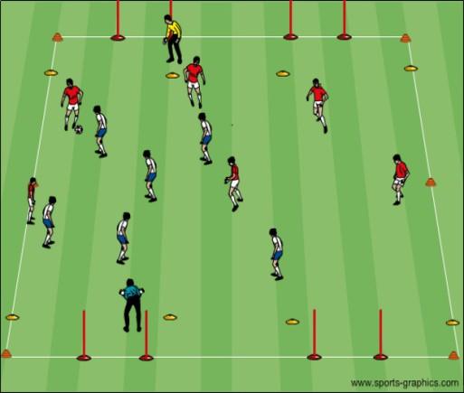 grid Small Sided Game Exp.