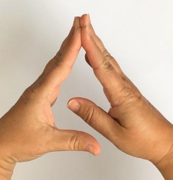 5. Place palms together, fingers straight, separate
