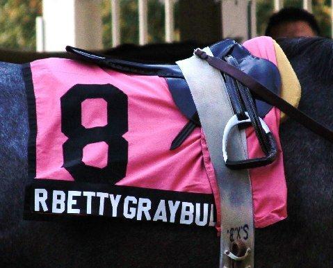 Betty's saddlecloth in the Iroquois Stakes on NY Showcase Day So when she went into the gate at PARX on December 4th to race one mile around two turns, she was more or less performing to continue her