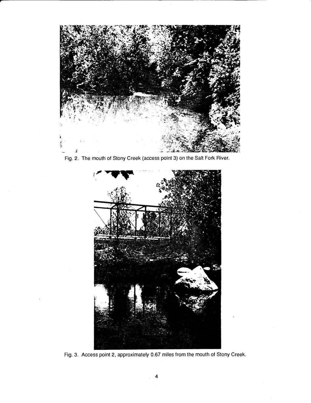 Fig. 2. The mouth of Stony Creek (access point 3) on the Salt Fork River. I'.,.