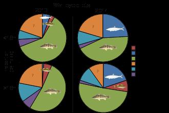 Bioenergetics, continued Figure 1. Walleye, northern pike and smallmouth bass diets for two size classes of each species during 2013 and 2014.
