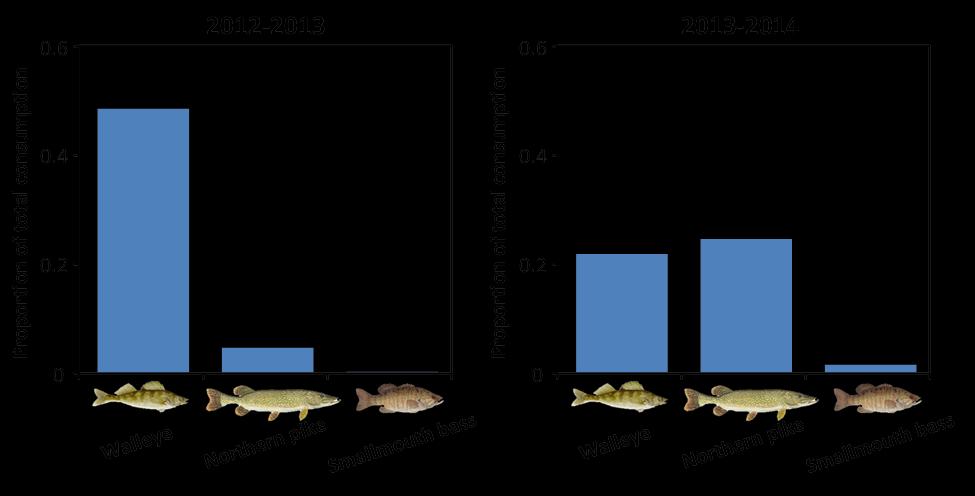 The majority of these unknown fish were likely yellow perch because larger prey such as young walleye or cisco could usually be identified by scales or bony structures.