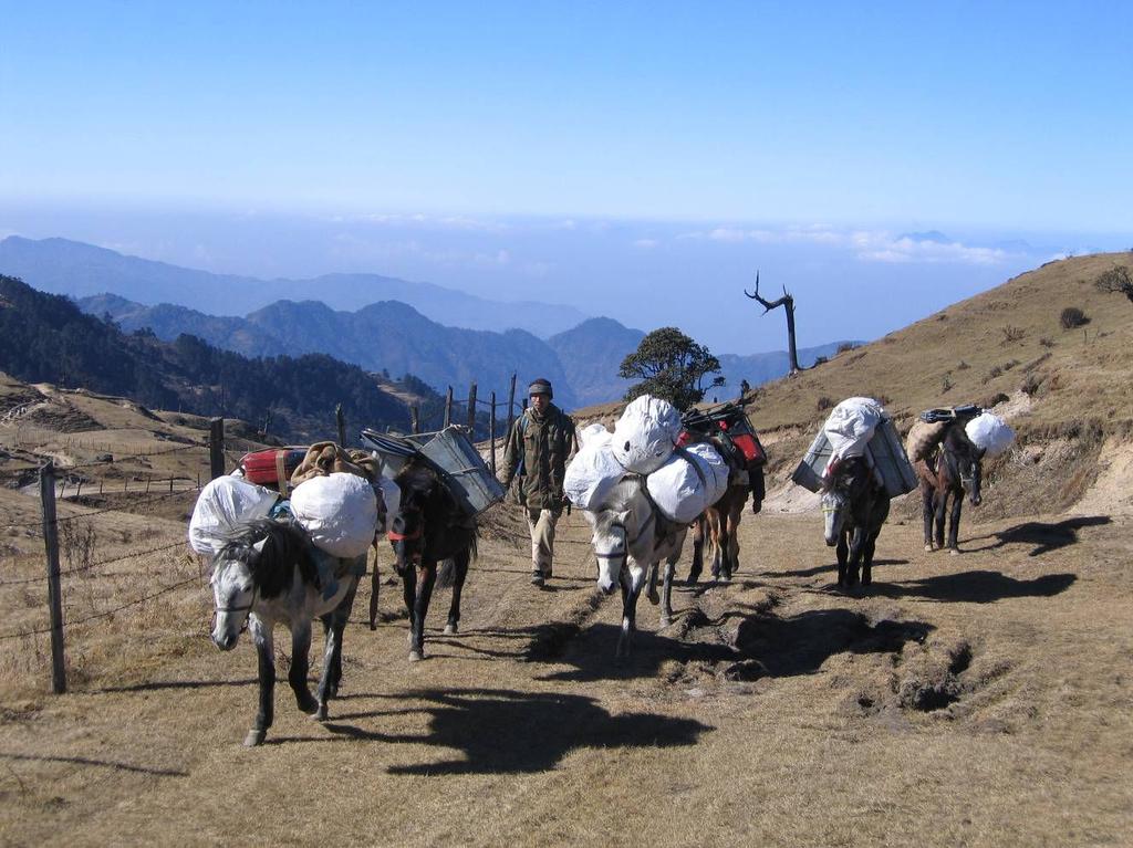 Before Nepal was opened up to the rest of the world, all Everest expeditions started from Darjeeling. There is a rich mix of Indian, Nepalese, Tibetan and Bhutanese cultures.