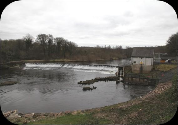 These structures helped drive Clyde salmon to extinction in the 19th century and, as water quality has improved in recent decades, some have prevented the recolonisation of potential spawning areas
