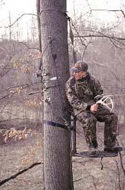 Using elevated platforms or tree stands requires skill in addition to knowledge. Hunters must be in good physical shape and have a reasonable sense of balance and coordination.