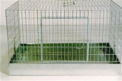 Cage for all or separate cages for