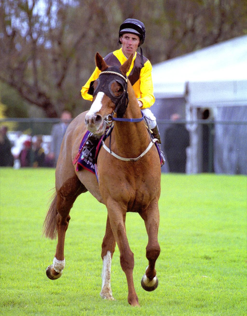 MEMORY LANE Savage Attack Chestnut gelding by Made of Gold ex Stylish Victory Owners: Mr M S Minervini, Mr P F Lemm, Mr B D Woodhouse, Miss G M Martin Race Record: 62 starts - 9 wins - 6 seconds - 12