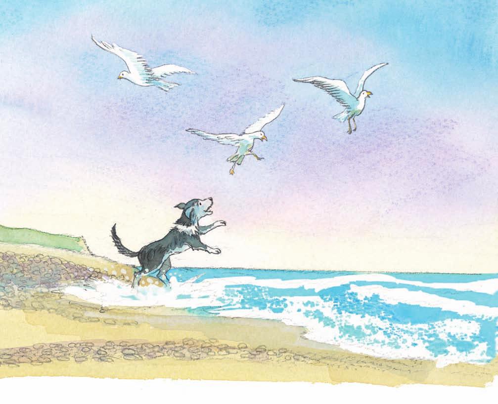 his tail first, then gulls, leaves and a paper bag that was flying low across the beach, just too