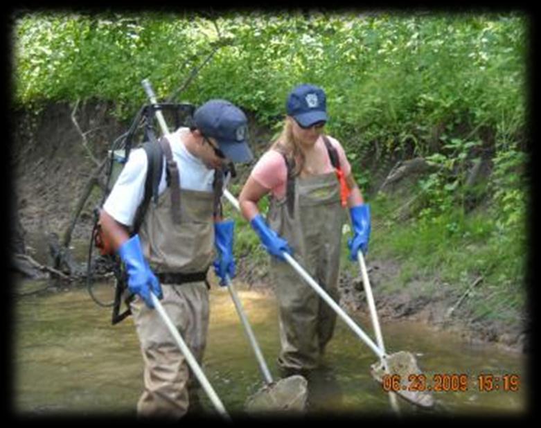 identifying wild trout populations in unassessed waters.