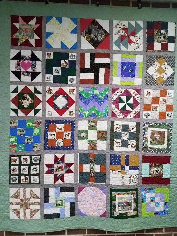 Thank you to Margaret Karr for putting the quilts together and to the Quilted Windmill for providing the backdrop used at the fair.