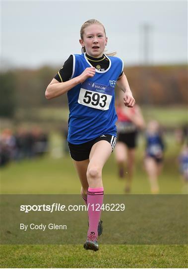 National Titles for Hayde & McElhinney The GloHealth AAI Juvenile Even Age Cross Country Championships took place in the National Sports Campus, Abbotstown, Dublin on Sunday 27 th November 2016.