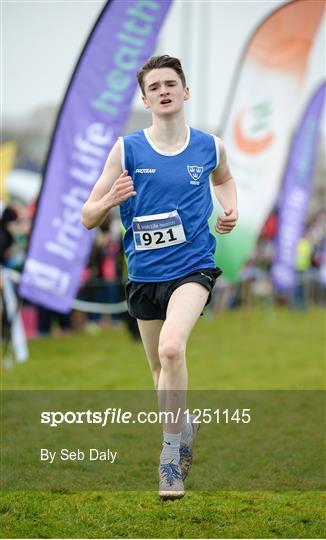 Clare won the Inter-County title with Munster also taking gold in the Inter-Provincial competition. In the Boys U/17 race, there were medals for Damien Madigan North Cork A.C. 3 rd, Jake McCarthy Youghal A.
