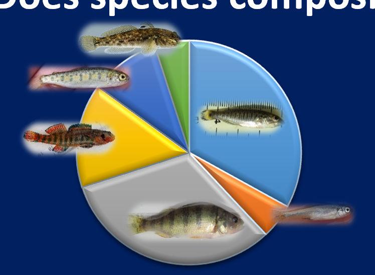 Does species composition