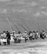 The Role of the Recreational Angler in