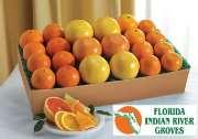 Citrus sale order forms were handed out to the students during class. Orders are due 10/31. Products will be delivered between 12/3 and 12/15. Link is https://www.keepandshare.
