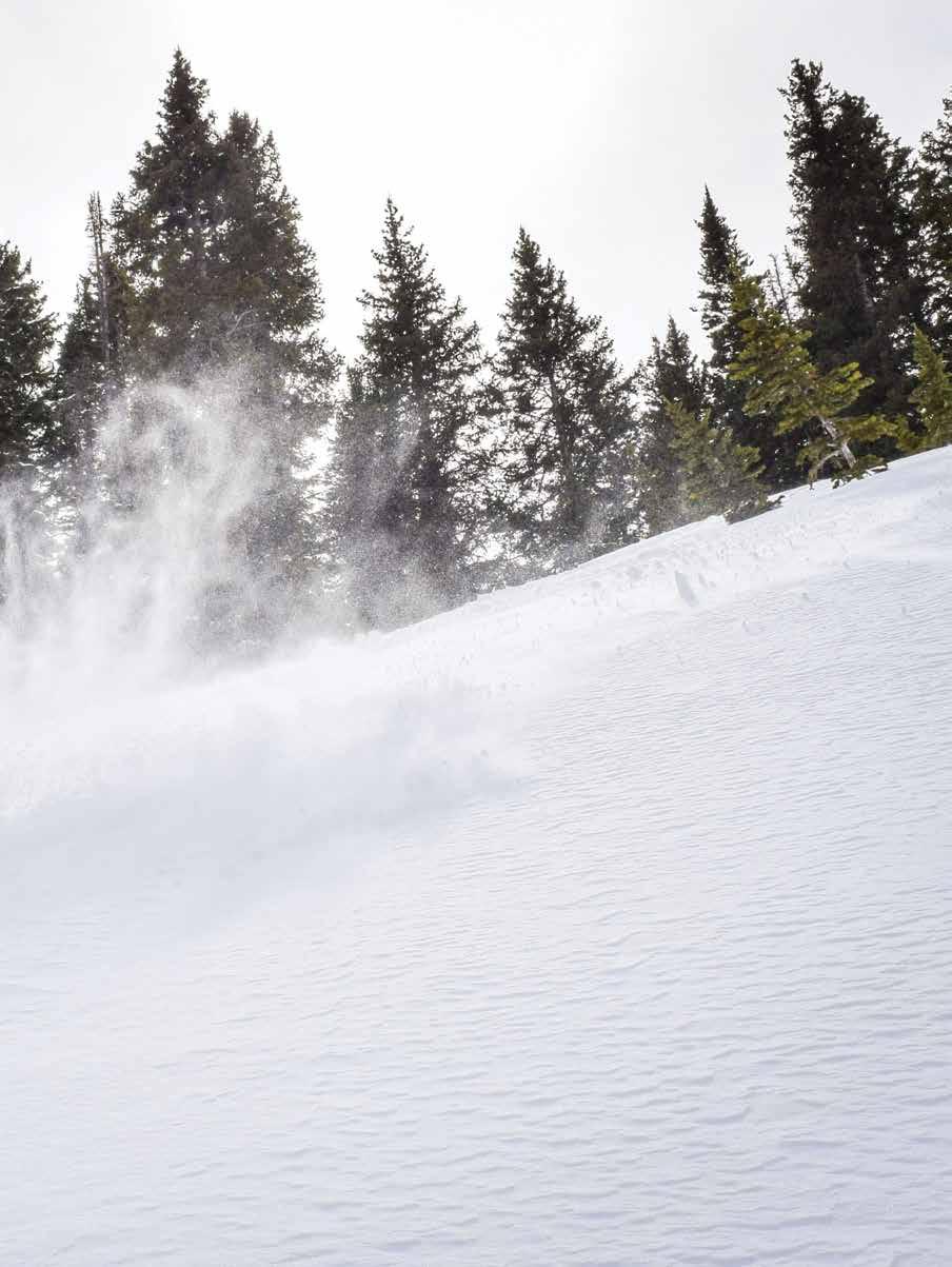 TD LOCALS LEAD BACKCOUNTRY ADVENTURE WORLDWIDE AND NOW RIGHT HERE IN TAHOE DONNER By GIULIANA RENDE Photos by BEN HOGAN Wide open spaces endless untouched powder breathtaking views.