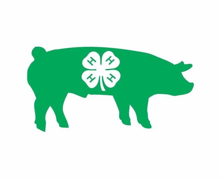 4-H Foundation News During the Livestock shows on