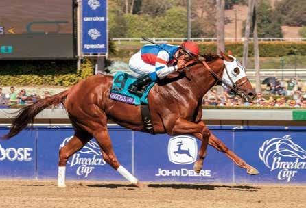 Buff Bradley said at the time Groupie Doll s half sister was running for $15,000 claiming. With that in mind, a Breeders Cup eligibility nomination for Groupie Doll was not at all on their minds.