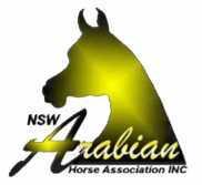 The NSW Arabian Horse Association Inc. proudly presents 2015 NSW AHA Youngstock Show Hawkesbury Showground Racecourse Road, Clarendon A Grade Arabian program Sunday 26th July 2015 9.15am start $10.