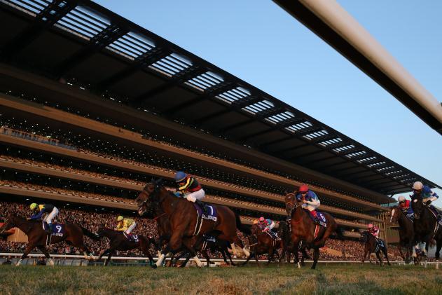 JRA established the Japan Cup, an international invitational race, in 1981 in an attempt to verify the results of efforts to improve horses bred in Japan and to inject new vitality into Japanese