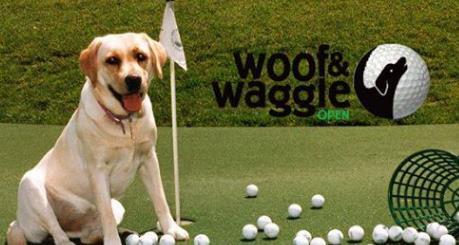 The 5th Annual Woof & Waggle Open Golf Scramble is scheduled at Rolling Hills for Monday, September 17th. All proceeds go to Dylan's Dawgz Low Cost Spay/Neuter Program.