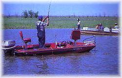 History of the Fishery The ODWC has conducted fish population surveys with Standardized Sampling Procedures (SSP) at Waurika regularly since 1979.