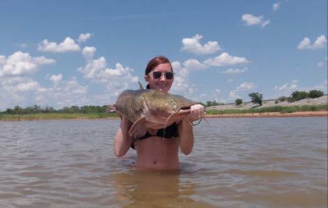 Flathead catfish are captured in low numbers during gillnet surveys at Waurika.