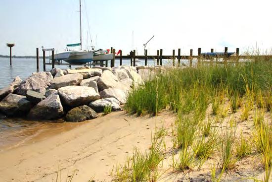 Living Shorelines http://dnr2.maryland.gov/criticalarea/documents/pdf/other_resources/critical%20area %20Quarterly%20Planner%27s%20Meeting/July2015_NOAA_Shorelines.pdf http://www.chesapeakebay.