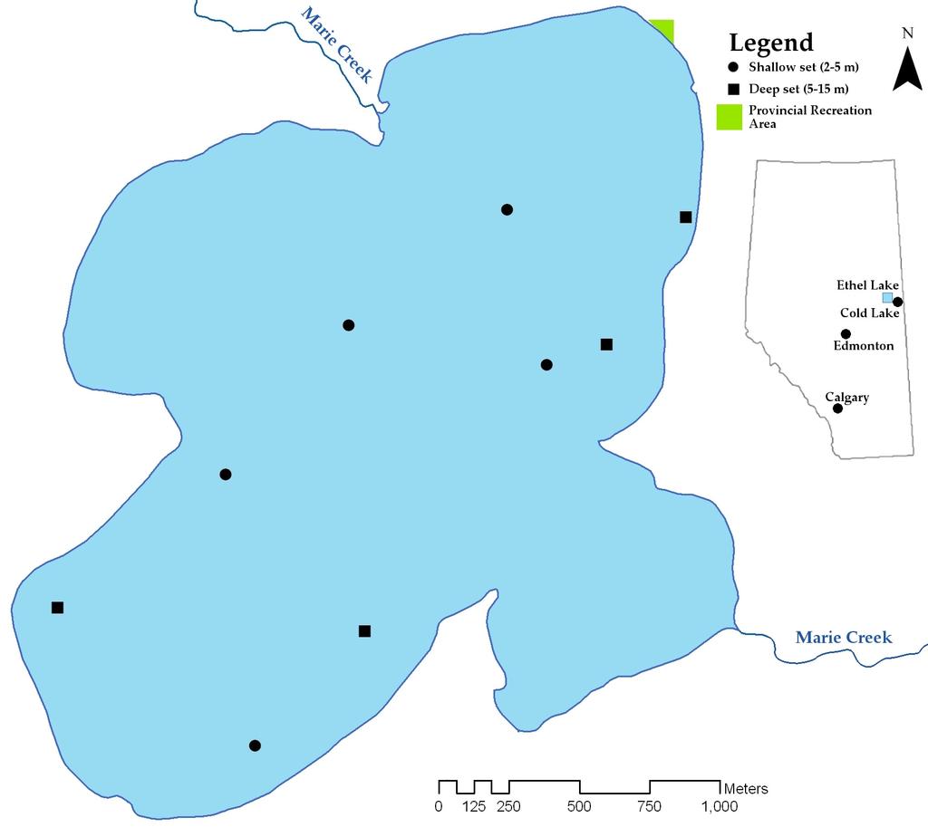 Figure 2. Map of Ethel Lake, Alberta showing sampling sites.